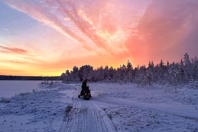 Snowmobile Tour with Small Group in Remote Wilderness 3 Hours - Warm gear and snowmobile comfort