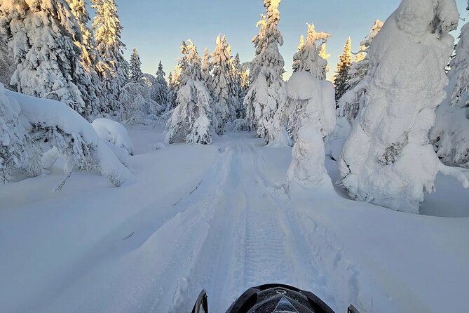 Snowmobile Tour with Small Group in Remote Wilderness 3 Hours - Who should book this Arctic ride?