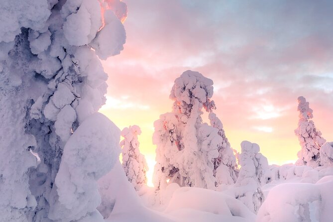 Snowmobile Tours in Rovaniemi Lapland - Key things to know before you book