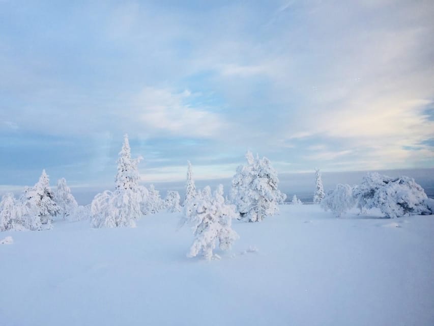 Snowshoe experience with traditional beverages in Lapland - What to wear for a comfortable three hours