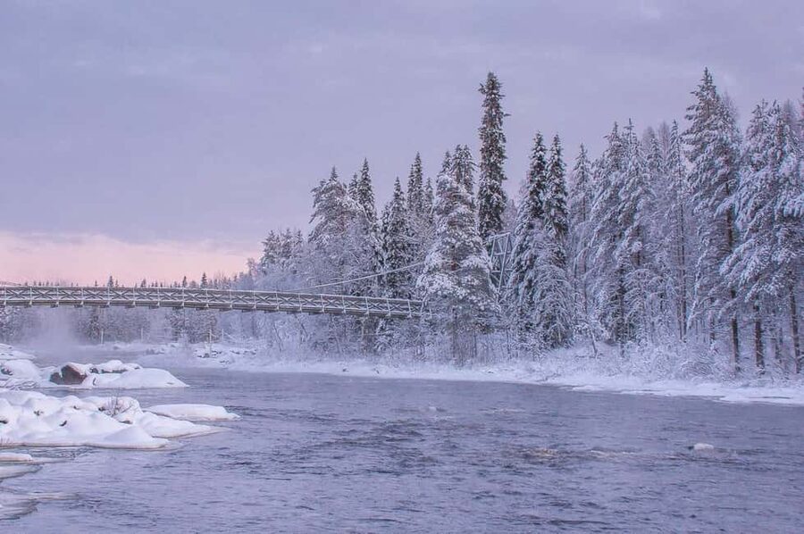 Snowshoe experience with traditional beverages in Lapland - Who should book this outing?