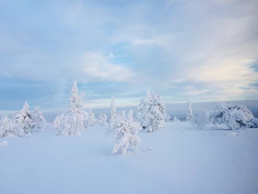 Snowshoe experience with traditional beverages in Lapland - Learning the snowshoe step by step