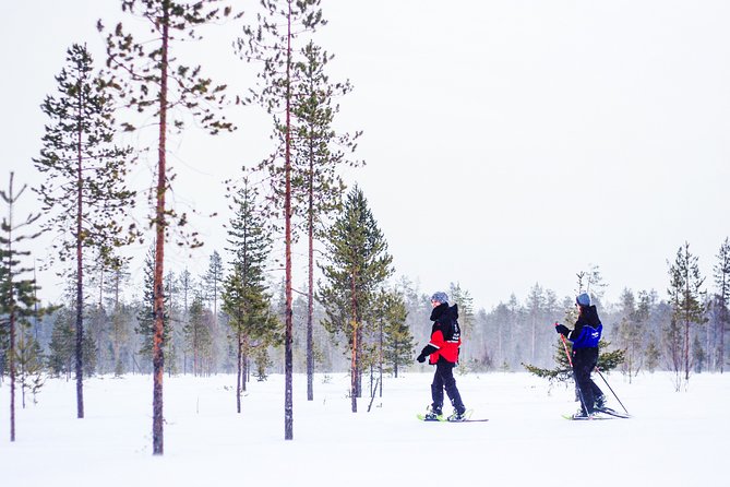 Snowshoe Trip in the Forest - What the three-hour schedule feels like