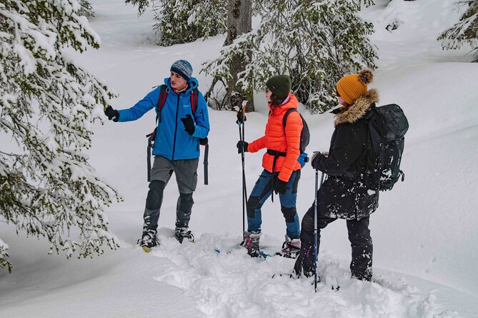 Snowshoeing Adventure with Ice-Fishing, Fire and Survival - Is $150.03 a fair price?