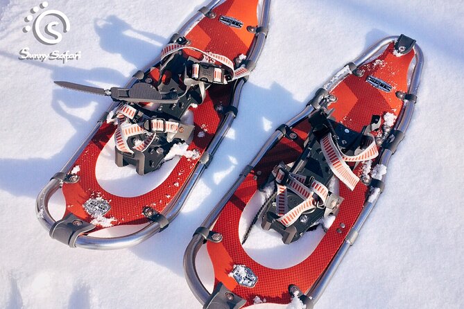 Snowshoeing in Lapland Wilderness - Gear, clothing, and comfort