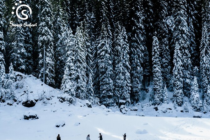 Snowshoeing in Lapland Wilderness - Value for the price and time
