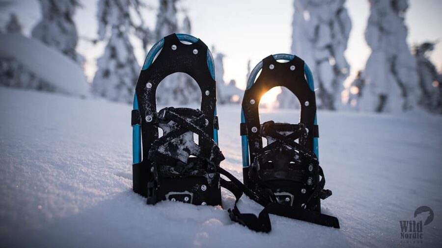 Snowshoeing in the Arctic Wilderness - What the guides add to the experience