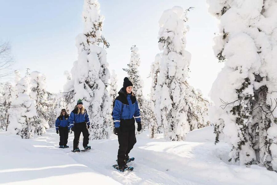 Snowshoeing in the Arctic Wilderness - Snowshoes on deep Lappish snow