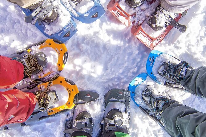 Snowshoeing tour with Wild Lunch - Key points to know before you book