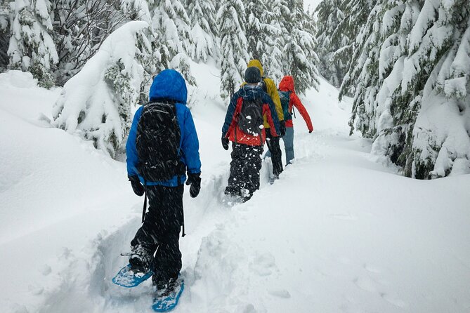 Snowshoeing tour with Wild Lunch - Leaving Rovaniemi for a quieter winter setting