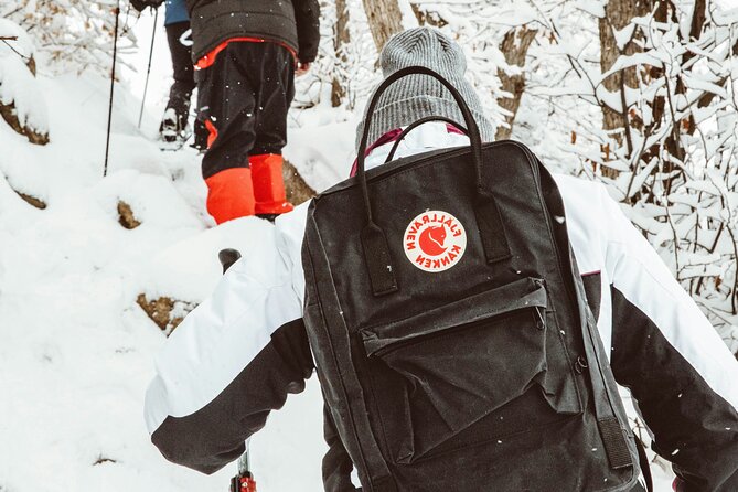 Snowshoeing tour with Wild Lunch - A wild lunch in an authentic teepee