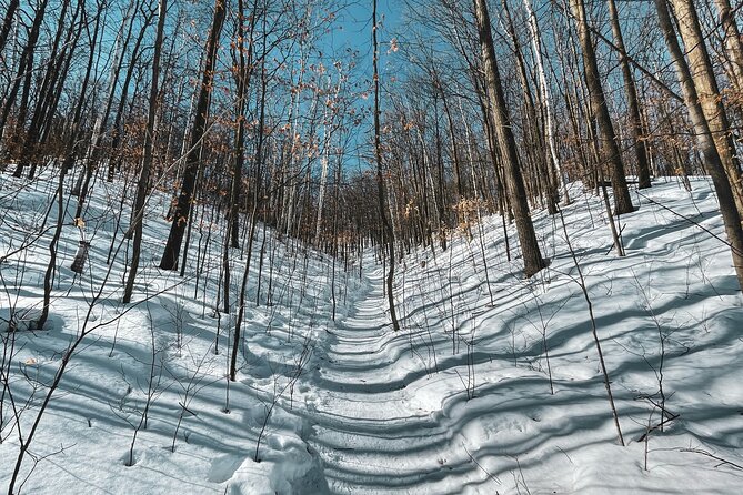 Snowshoeing tour with Wild Lunch - What $95.53 gets you