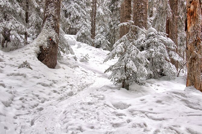 Snowshoeing tour with Wild Lunch - Who will enjoy this tour most