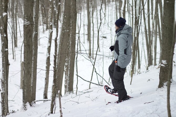 Snowshoeing tour with Wild Lunch - Practical clothing and packing advice