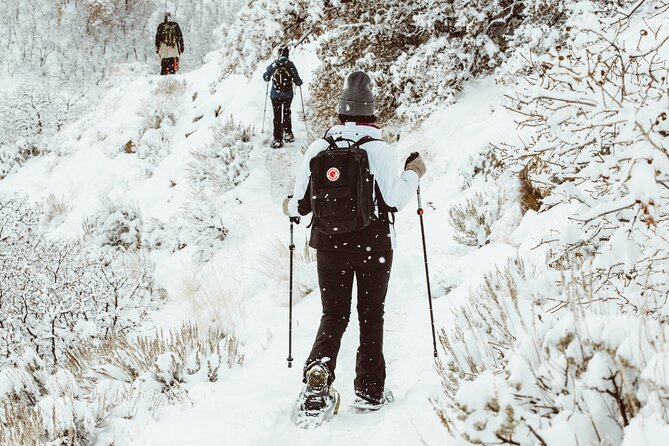Snowshoeing tour with Wild Lunch - Group size, guide support, and pace