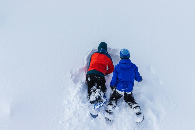 Snowshoeing tour with Wild Lunch - What the snowshoe walk feels like for a first-timer