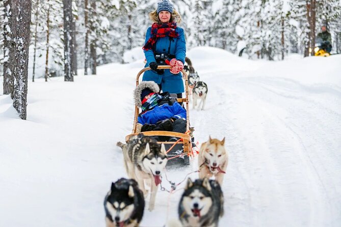 Snowy Trails 10km Husky Safari from Rovaniemi - Group size, timing, and the commercial side
