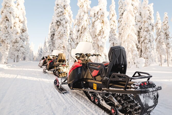 Thrill of Snowmobiling for Adults Only - Price, insurance, and the real value