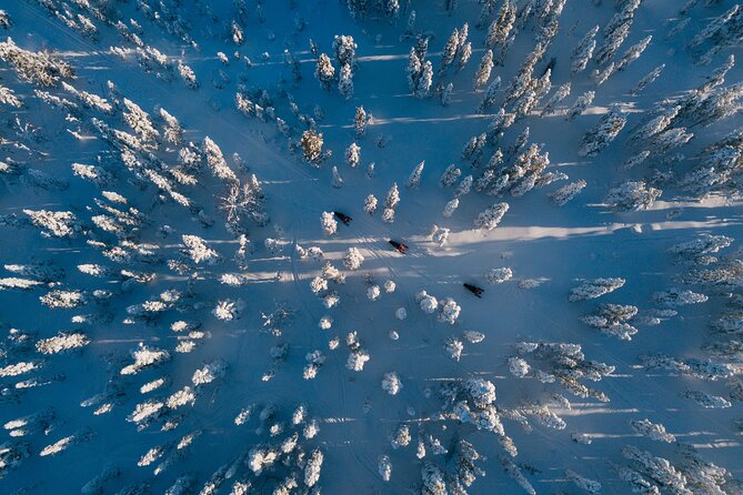 Thrill of Snowmobiling for Adults Only - Who should book this ride