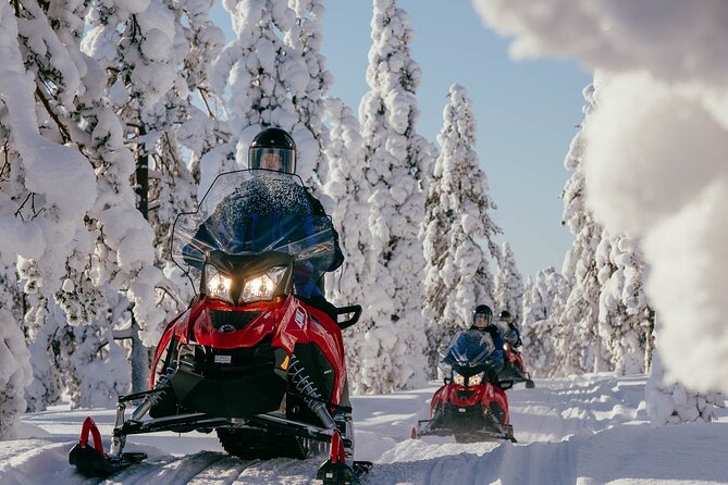 Thrill of Snowmobiling for Adults Only - Sharing a two-seat snowmobile