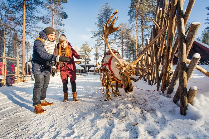 Trip to Arctic Circle, Santa Claus Village and Santas Reindeer - The snowmobile museum adds a little local context