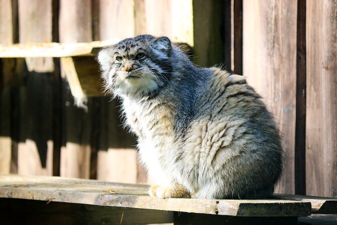Trip to Ranua Wildlife Park - Booking details and weather planning
