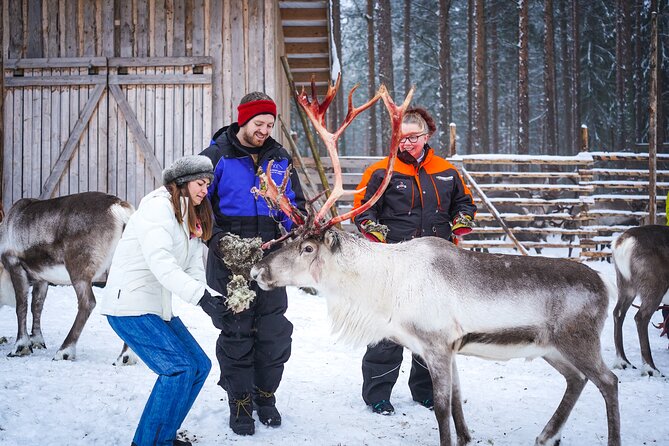 Two Full Days in Lapland - The second aurora outing and why it matters