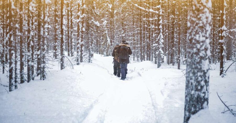 Vikakongas Hike: Nature and Silence - From Rovaniemi to the Vikakongas Rapids