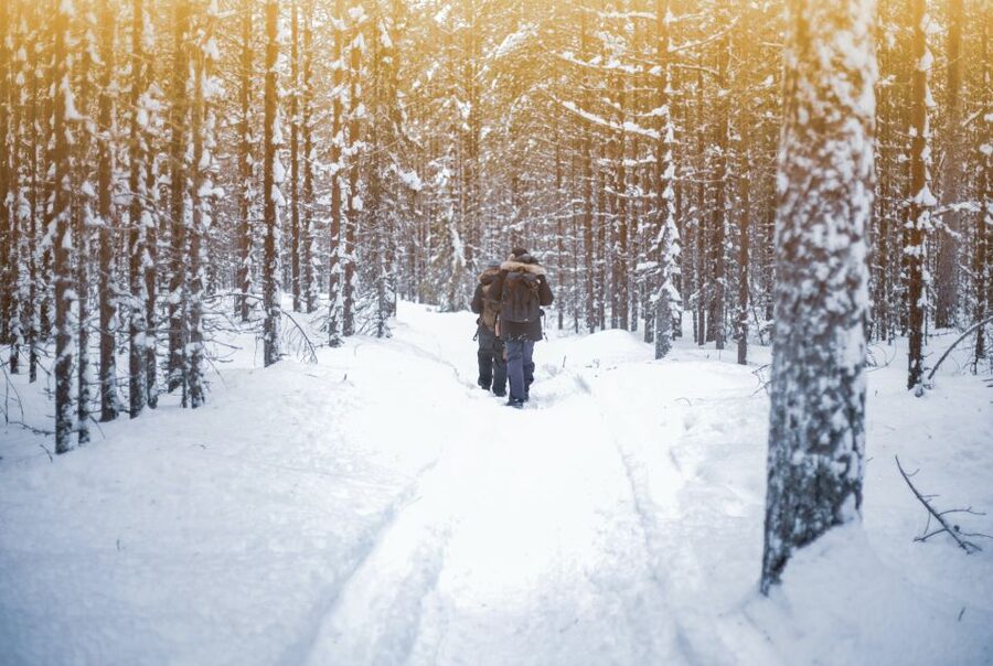 Vikakongas Hike: Nature and Silence - Two kilometers beside the Arctic river