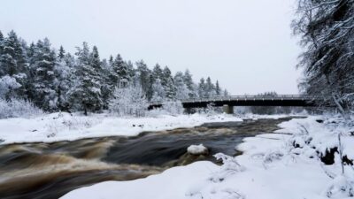 Vikakongas Hike: Nature and Silence