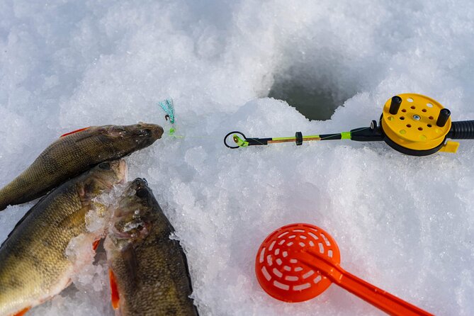 VIP Ice Fishing "ICEBREAKER" Lunch in Glass Igloo - The guides make the difference
