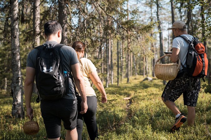 Wild Berries and Mushroom picking tour - The ride from your hotel to the picking area