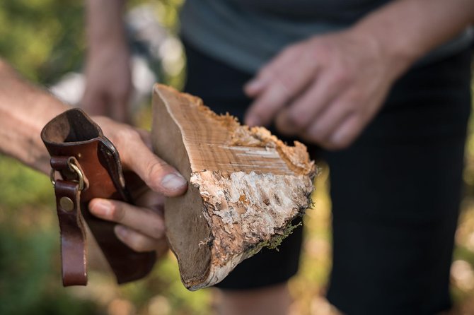 Wild Berries and Mushroom picking tour - What the $104 price buys you