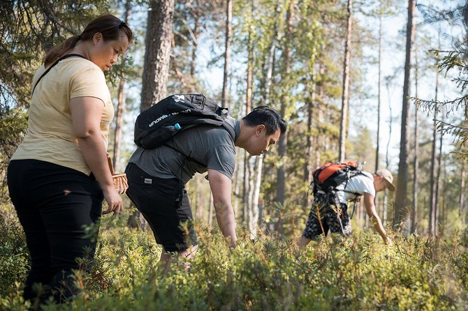 Wild Berries and Mushroom picking tour - Timing your booking around the picking season