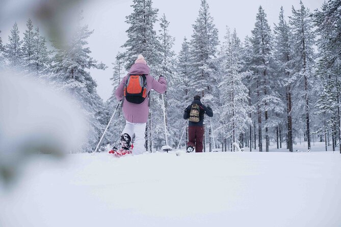 Wilderness snowshoe adventure - Getting used to snowshoes and poles