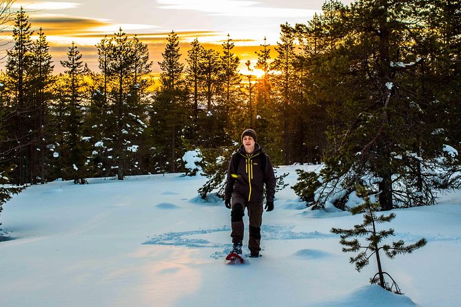 Wilderness snowshoe adventure - Group size, pace, and atmosphere