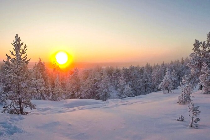 Wilderness Survival Tour - Winter - Who should book this winter survival tour?