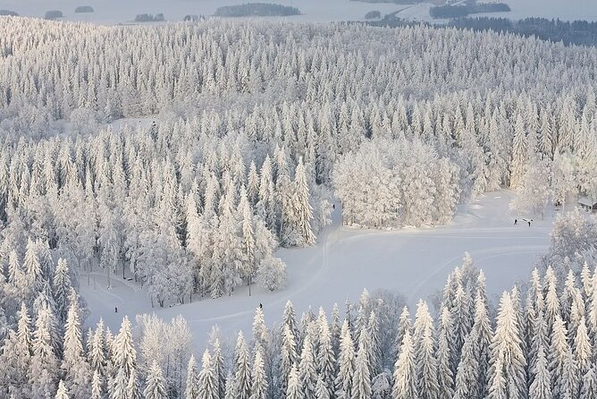 Winter Quad Bike Ride in the Arctic Circle from Rovaniemi - What sharing a quad bike really means